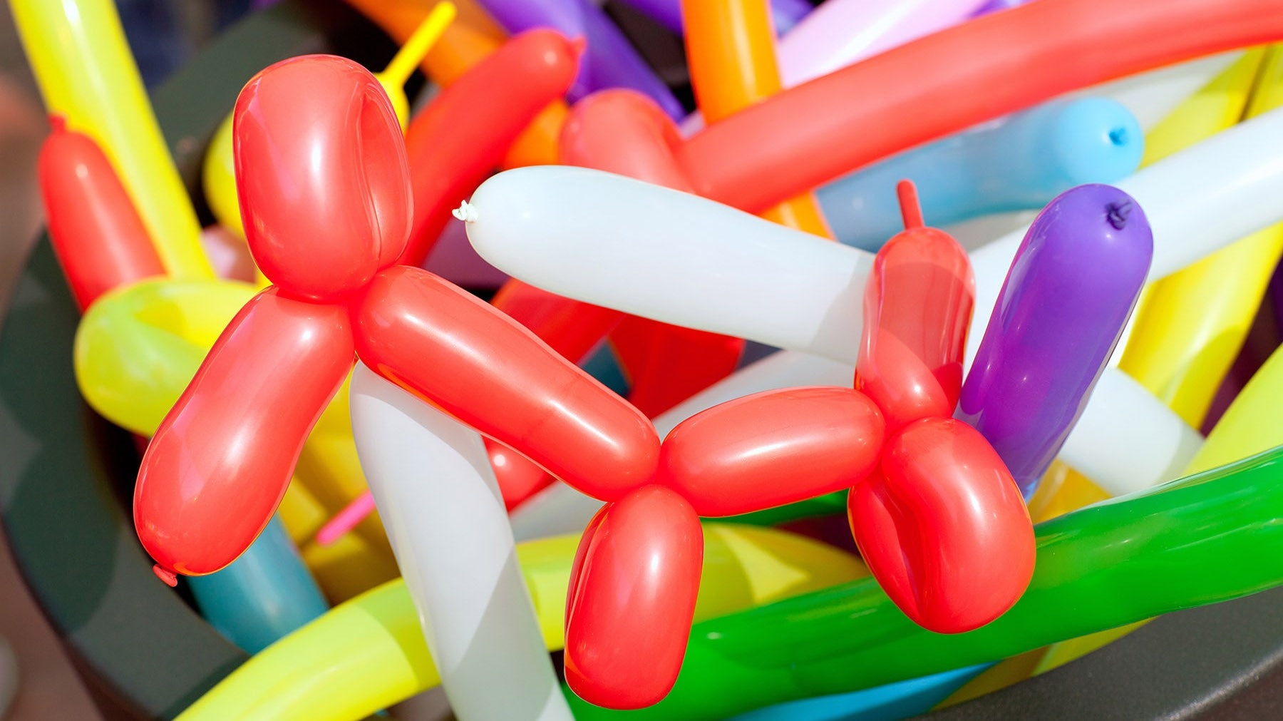 Que sont devenus les ballons Qualatex ? Les meilleures alternatives pour la sculpture sur ballons