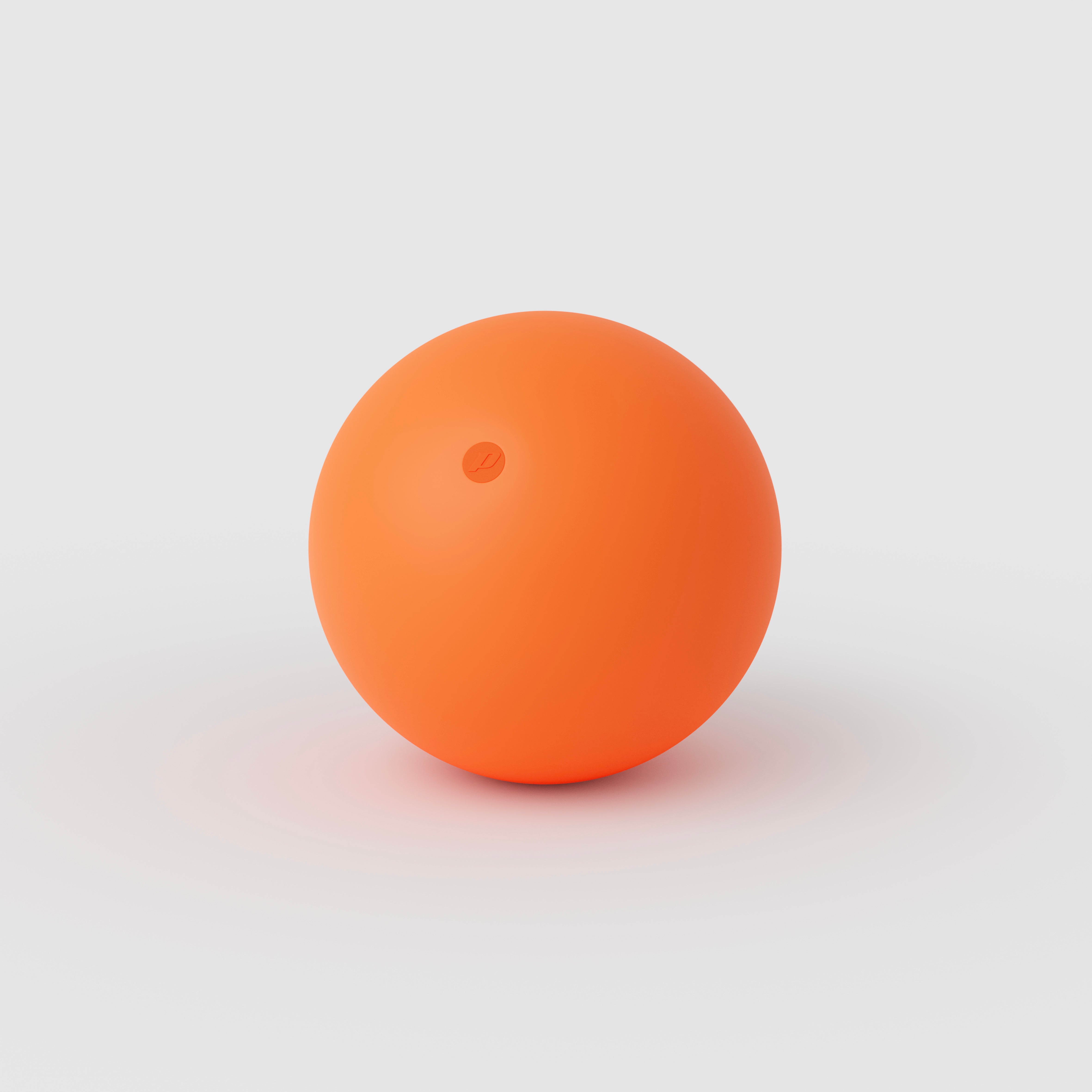 Balle sil-x 75mm 130g - vue 2