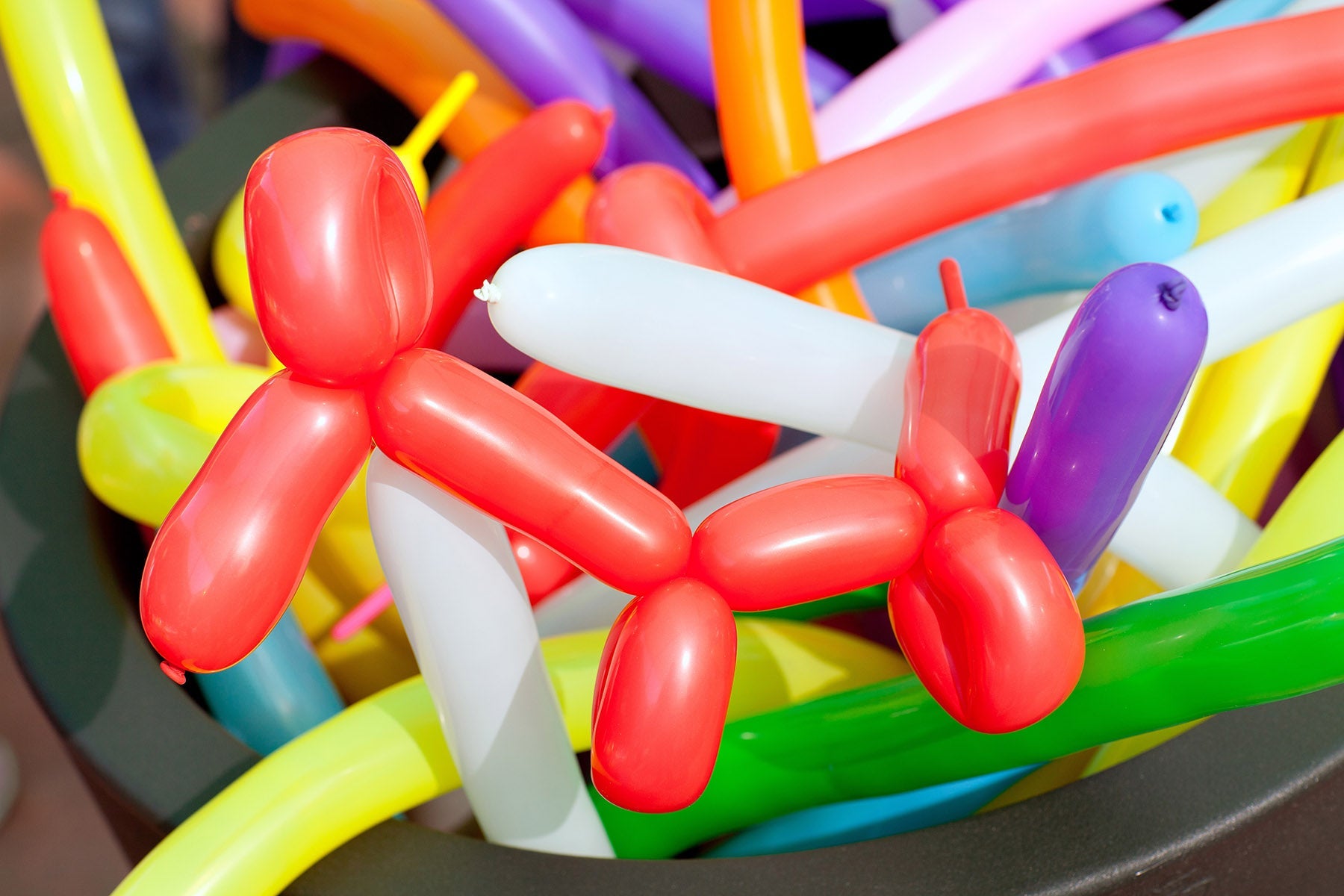 Que sont devenus les ballons Qualatex ? Les meilleures alternatives pour la sculpture sur ballons