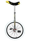 Monocycles Flat et Street