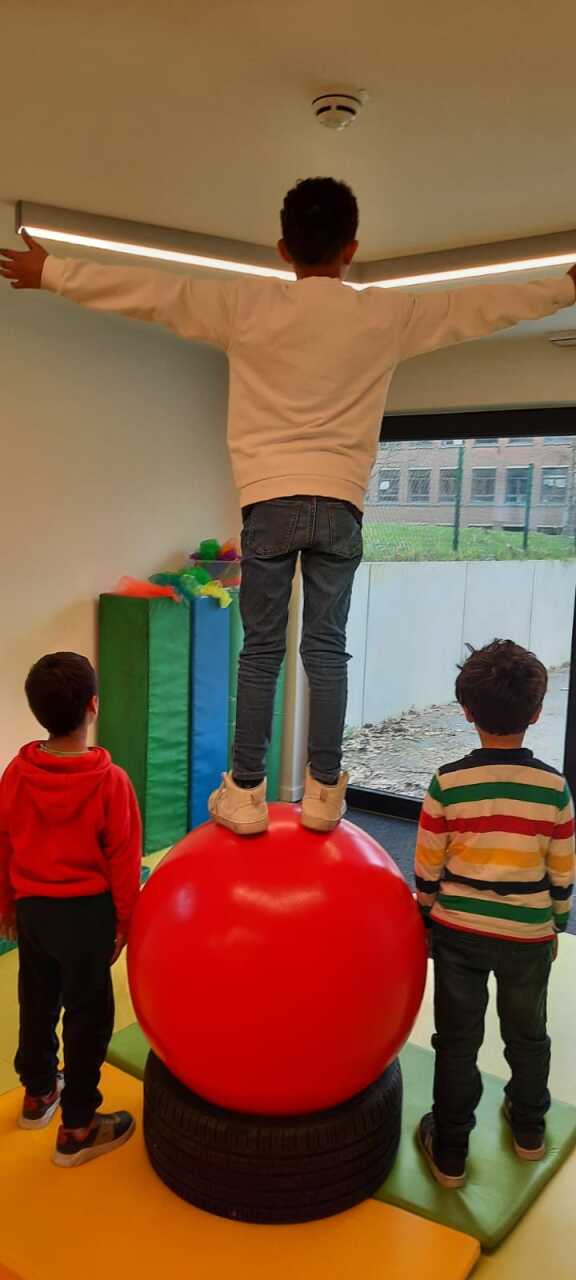 Balance ball diam 700mm 11kg