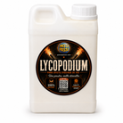 Lycopodium - vue 1