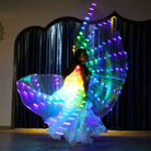 Ailes Scintillantes Lumineuses de Performance