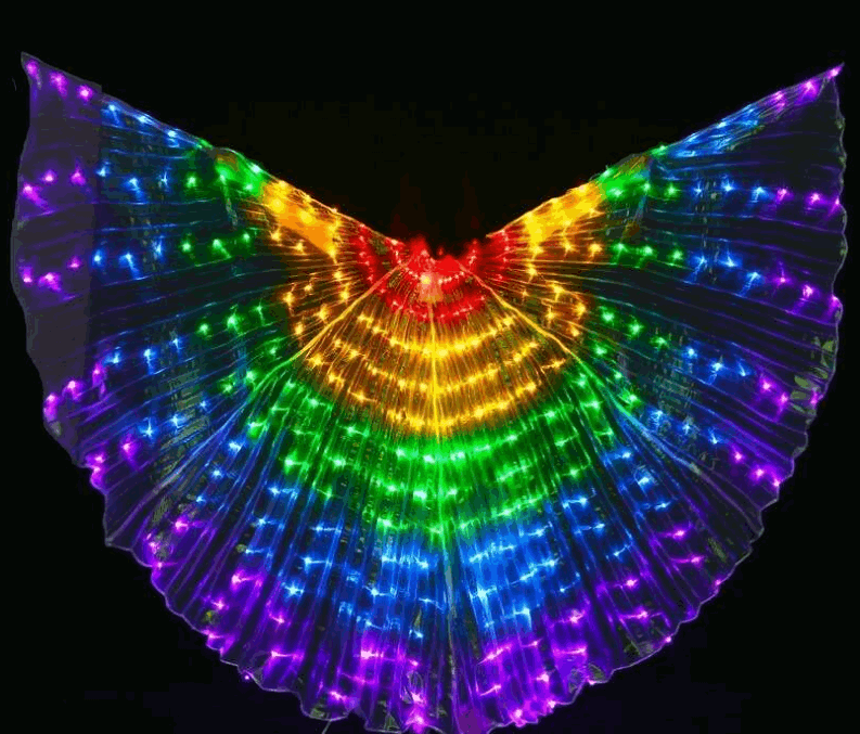 Ailes Scintillantes Lumineuses de Performance version adulte multicolore