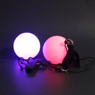 Poï LED rechargeables Zeekio
