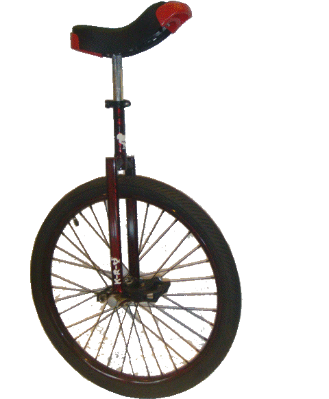 Dodo unicycle 60cm