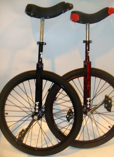 Dodo unicycle 60cm